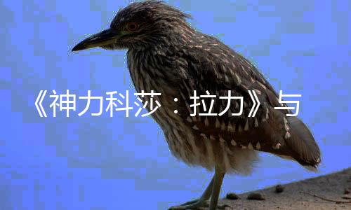 推出竞合竞巡作 与 达球电 全球拉成全回赛力科拉力力电神莎