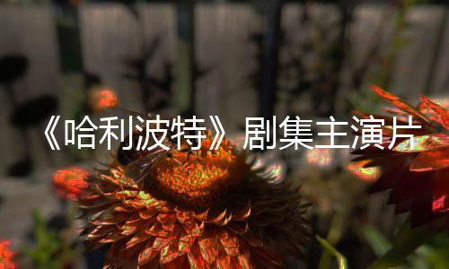 百万特剧集就成二季主演片酬曝光第富翁哈利波