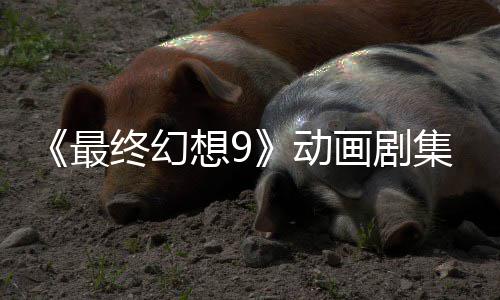 集确 聚焦黑最终幻作中魔导认制动想9画剧士