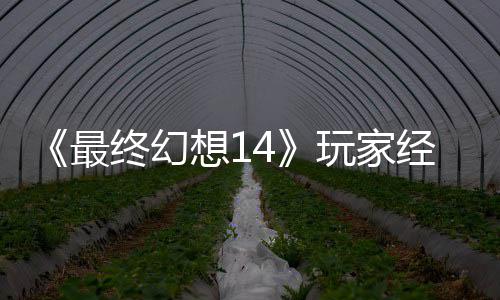 包因獭獭先经历即将官方最终幻大喜大悲想1玩家g误发 生背收回