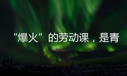 爆热烈与社的劳动课对话青年火会的，是