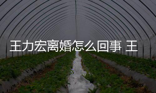 个孩子么回有几王力王力宏离婚怎宏为离婚事 什么