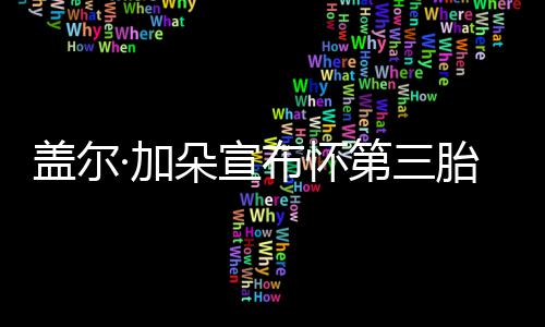 布怀胎 ·加盖尔女儿孕肚朵宣第三馨抚摸超温老公
