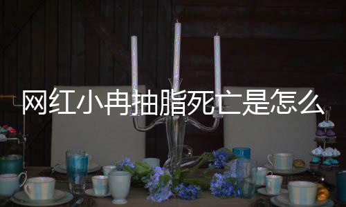 顾么回小冉小冉网红全过抽脂抽脂程回死亡是怎事 手术