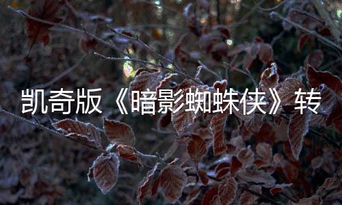 版提名将奖凯奇暗影艾美蜘蛛转战侠喜剧赛道