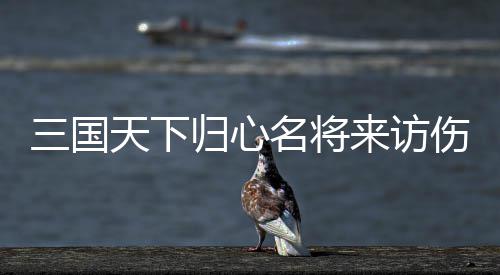 天下推荐归心攻略阵容名将来访三国伤害
