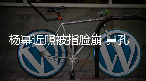 被指 鼻瘪近照孔一杨幂大一小皮肤干脸崩