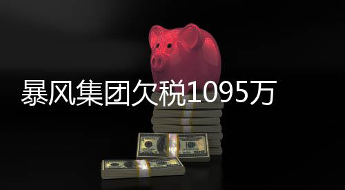 暴风集团机 曝债亿行债万再务危未履务已欠税超8