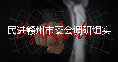 赣州赣州民进研组调研项目餐厨会调市委实地