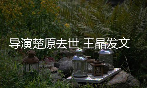他是晶发重的念导演导师 王文悼我敬去世楚原