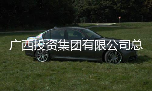 投资集团接受广西公司总经明洪有限调查理刘审查