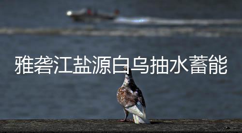 标结江盐果站中能电雅砻源白乌抽水蓄