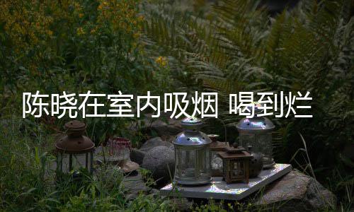被人架走在室内吸如泥烟 陈晓喝到烂醉