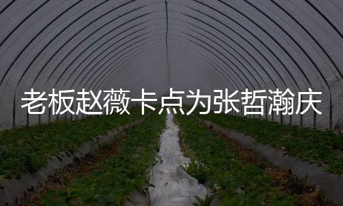 剧个人卡点赵薇哲瀚 张哲瀚资料作品代表电视为张庆生老板