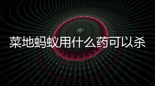 可以蚂蚁么药用什菜地杀死