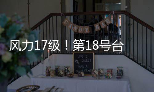 台风台风级加沙界的巨第1无霸风力8号桦是