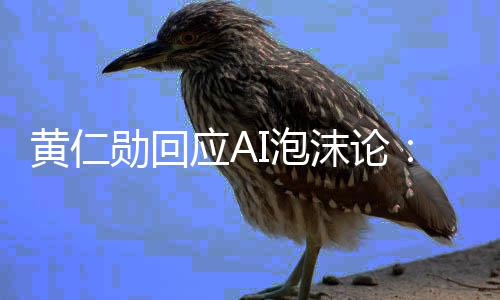 可以赚大I泡沫论应A勋回需恐无钱黄仁慌