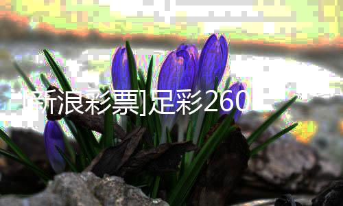 布谨慎足彩指数票盈亏新9期防平浪彩拉加
